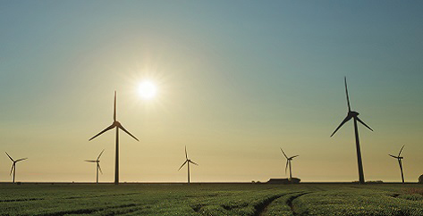 environmental sustainability
